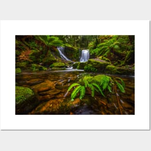 Horseshoe Falls II, Mt Field NP, Tasmania Posters and Art